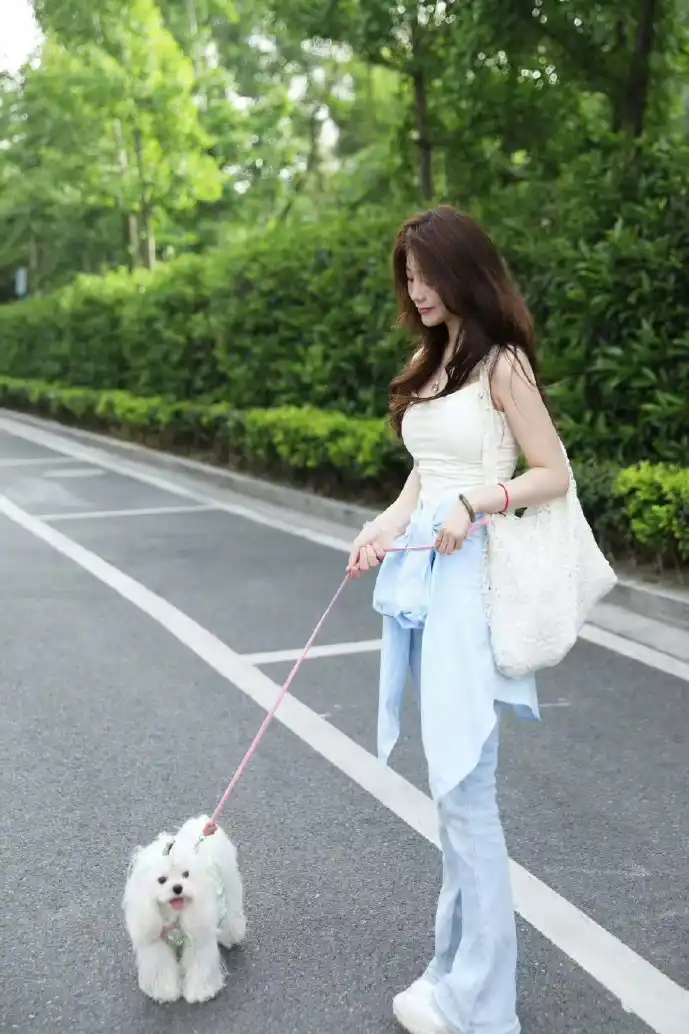 小黄油下载数据图表